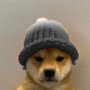 corgibtw's avatar