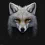 SnowFoxLive's avatar