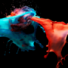 Dream_Drifter09's avatar