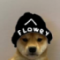 FLOW3Y-_-'s avatar