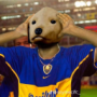 JokiTWOX's avatar