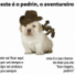zinnequinhofode's avatar