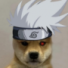 Panien's avatar