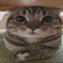 bxdritxc's avatar