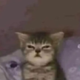 SKYROX_RAMBO's avatar