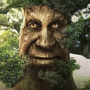 xiw's avatar