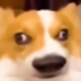 Bizco's avatar