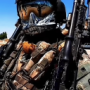 WolfMarine58's avatar