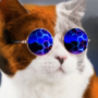 Arthur_ToneT's avatar