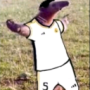 21nobody's avatar