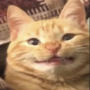 KampfKeks_zip's avatar