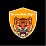 Impossible_Tiger's avatar