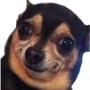 LuckyJack's avatar