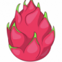 Dragon-Fruit's avatar