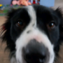 San_pro123's avatar