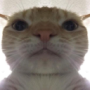 Sussycat's avatar