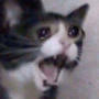 Myswrr's avatar