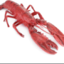 lobster84's avatar