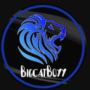 BIGcatboyyYT's avatar