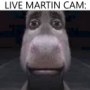 RegularBreakable's avatar