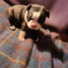 JAYDEEDUB123's avatar