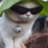 Space_o's avatar