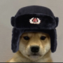 ll_zize_ll's avatar