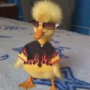 SadDuck's avatar