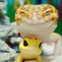 Geckoing's avatar