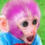 pempemanki's avatar