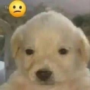 faze_cocoyt's avatar