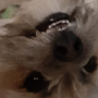 KylerPlaysRL's avatar