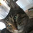 Treize's avatar