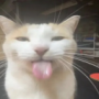 mimicdotgif's avatar