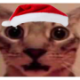 Holdmy's avatar