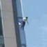 ncknm_mq's avatar