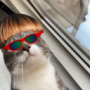 ToftIsGod's avatar