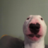 XxSniperGod_123's avatar
