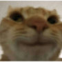 Helivex's avatar
