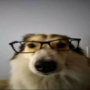Osimperior's avatar