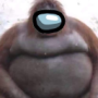 Hello_im_zorix's avatar