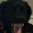 Eastcoastmurr24's avatar