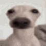 Vna_fly's avatar
