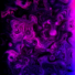 PurpleShift's avatar