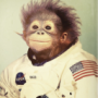 Jollycheetah223's avatar