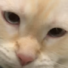 MegaMystery3xD's avatar